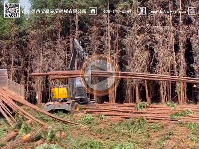 寶鼎抓木機視頻
